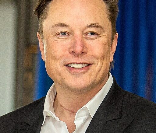 Elon Musk - Justin Pacheco, Public domain, via Wikimedia Commons