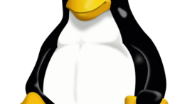 Linux