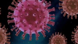 Hantavirus