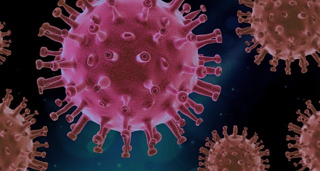 Hantavirus